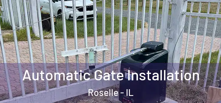  Automatic Gate Installation Roselle - IL