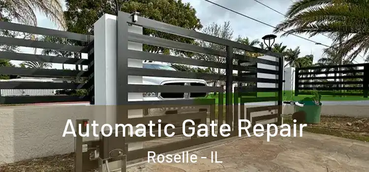  Automatic Gate Repair Roselle - IL