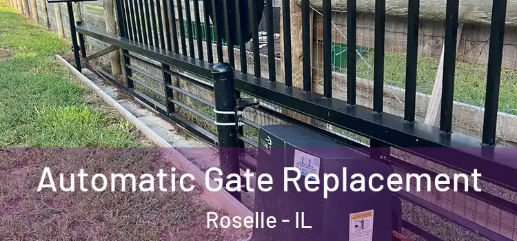  Automatic Gate Replacement Roselle - IL