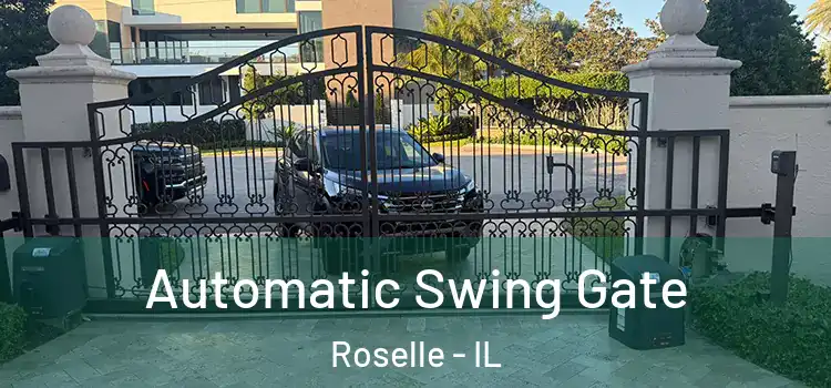  Automatic Swing Gate Roselle - IL