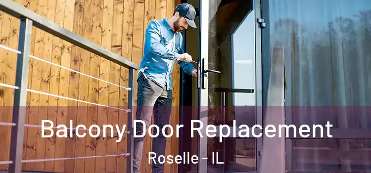  Balcony Door Replacement Roselle - IL