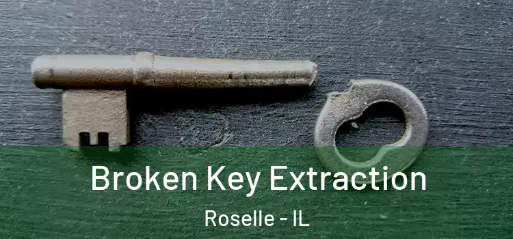  Broken Key Extraction Roselle - IL