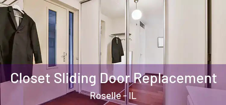  Closet Sliding Door Replacement Roselle - IL