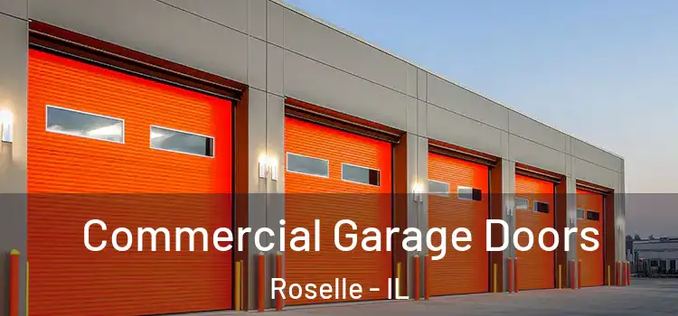  Commercial Garage Doors Roselle - IL