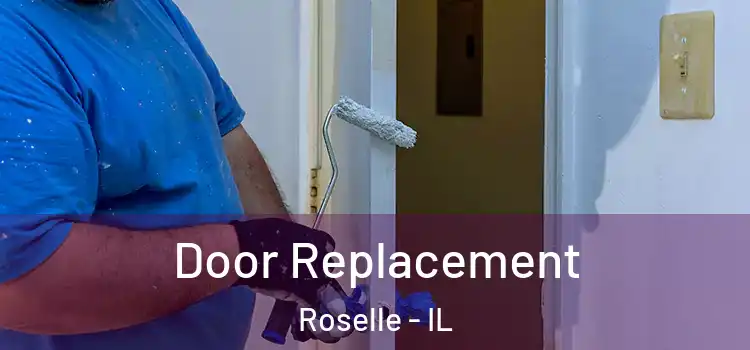  Door Replacement Roselle - IL