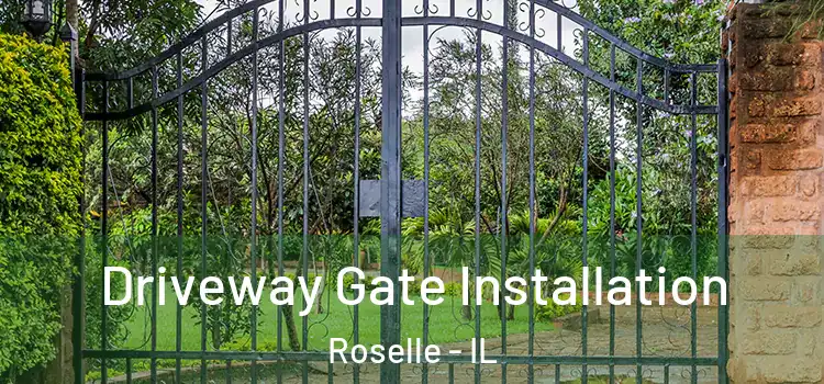 Driveway Gate Installation Roselle - IL