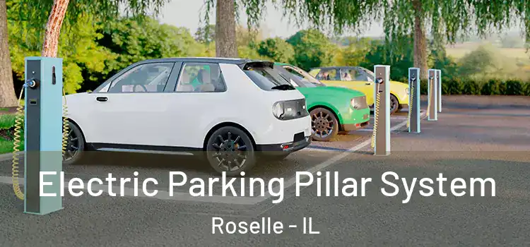  Electric Parking Pillar System Roselle - IL