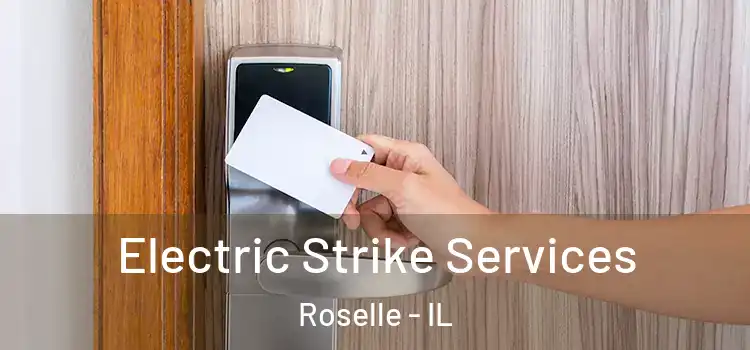  Electric Strike Services Roselle - IL