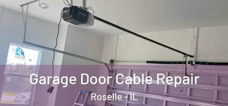  Garage Door Cable Repair Roselle - IL