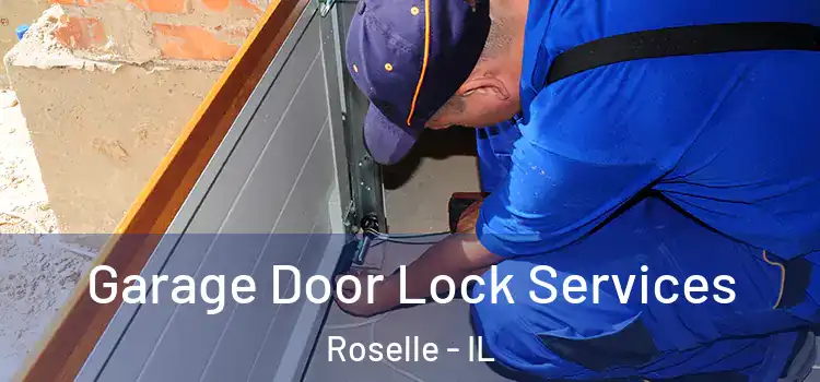  Garage Door Lock Services Roselle - IL