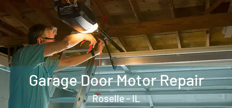  Garage Door Motor Repair Roselle - IL