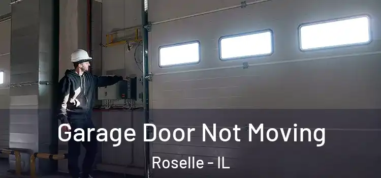  Garage Door Not Moving Roselle - IL