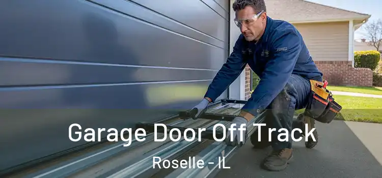 Garage Door Off Track Roselle - IL