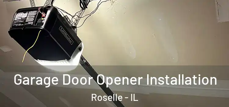  Garage Door Opener Installation Roselle - IL