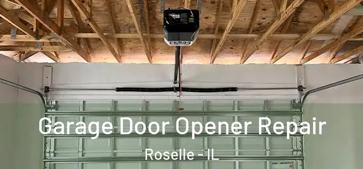  Garage Door Opener Repair Roselle - IL