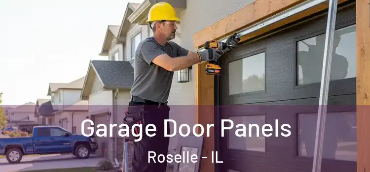  Garage Door Panels Roselle - IL