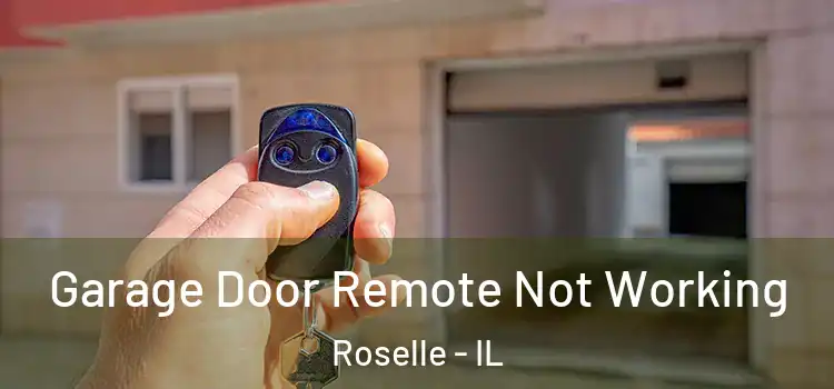  Garage Door Remote Not Working Roselle - IL