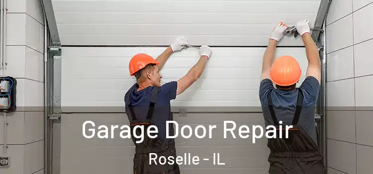  Garage Door Repair Roselle - IL