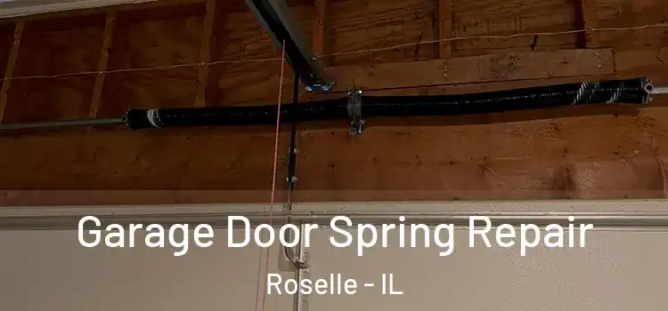  Garage Door Spring Repair Roselle - IL