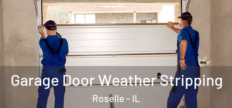  Garage Door Weather Stripping Roselle - IL