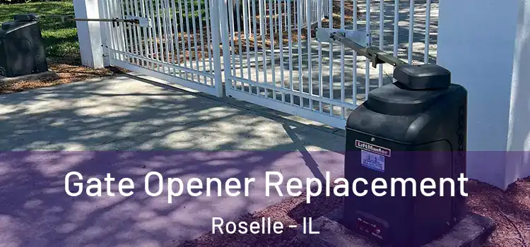  Gate Opener Replacement Roselle - IL