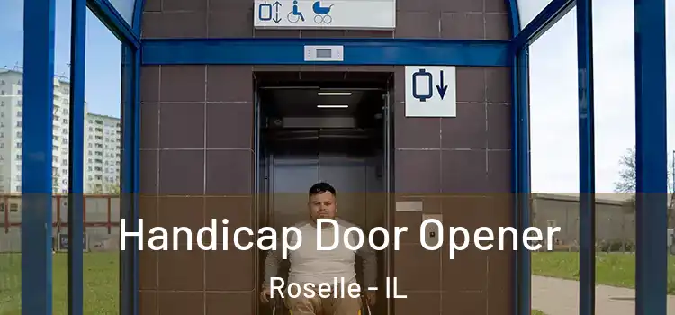 Handicap Door Opener Roselle - IL
