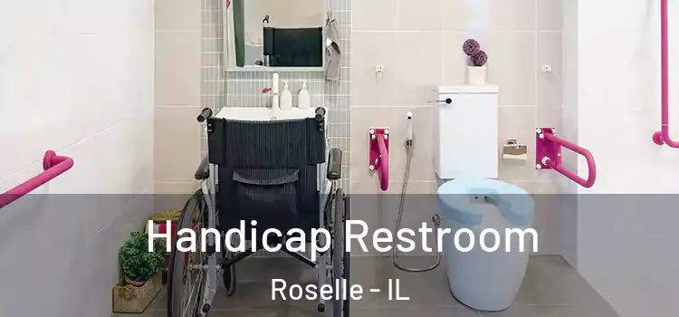  Handicap Restroom Roselle - IL