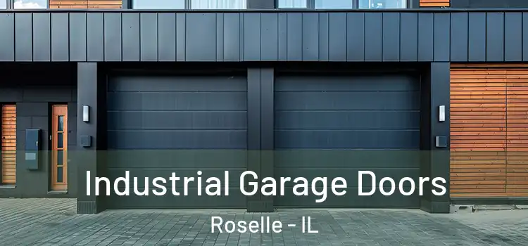  Industrial Garage Doors Roselle - IL