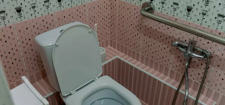 Meeting Diverse Needs With Accessible Restroom Solutions in Roselle, IL