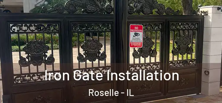 Iron Gate Installation Roselle - IL