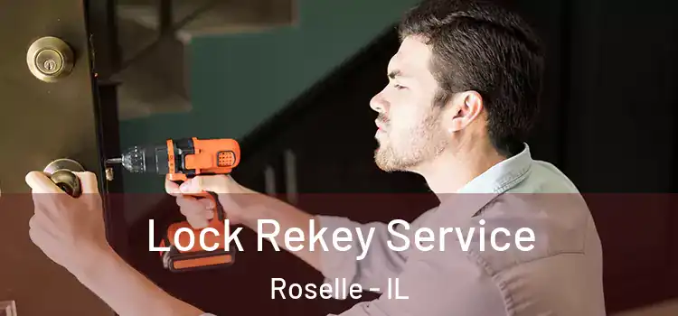  Lock Rekey Service Roselle - IL