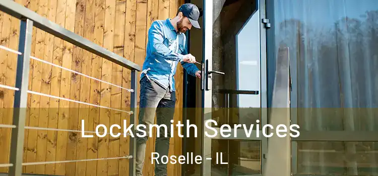  Locksmith Services Roselle - IL
