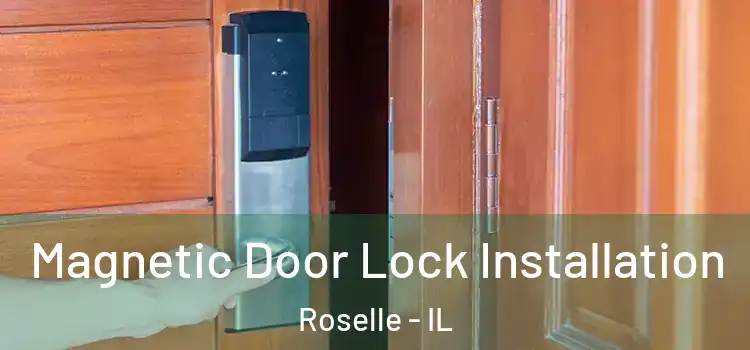  Magnetic Door Lock Installation Roselle - IL