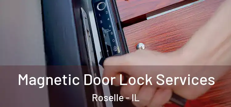  Magnetic Door Lock Services Roselle - IL