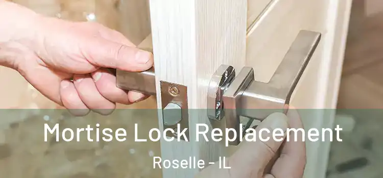  Mortise Lock Replacement Roselle - IL