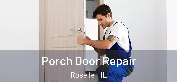  Porch Door Repair Roselle - IL