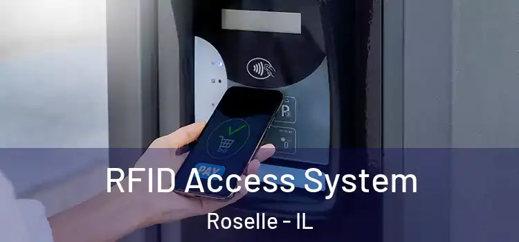 RFID Access System Roselle - IL