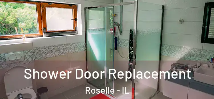  Shower Door Replacement Roselle - IL