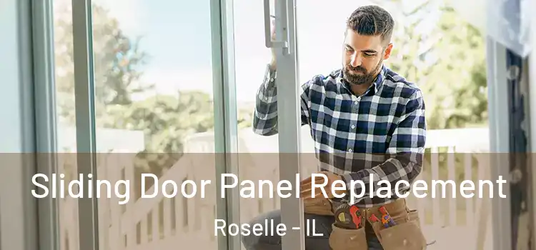  Sliding Door Panel Replacement Roselle - IL