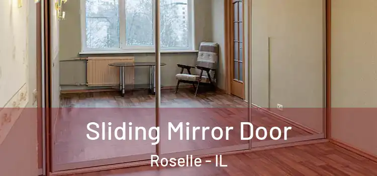  Sliding Mirror Door Roselle - IL