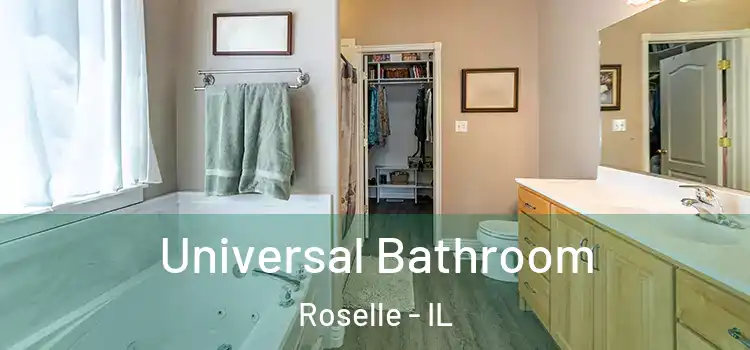  Universal Bathroom Roselle - IL